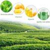 Cleansing Green Stick Green Tea Mask Purifying - Image 6