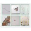 Magic White Latex Paint Wall Repair Cream Wall Cracks Repair Ointment Waterproof - Image 3